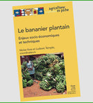Le bananier plantain : enjeux socio-économiques et techniques